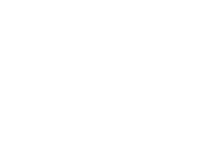Urban Punkz logo